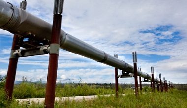 Companiile ruse nu mai export carburanţi